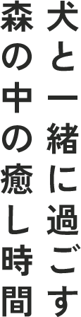 犬と一緒に過ごす森の中の癒し時間